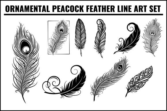 Download Ornamental Peacock Feather Line Art Set - Art Collection