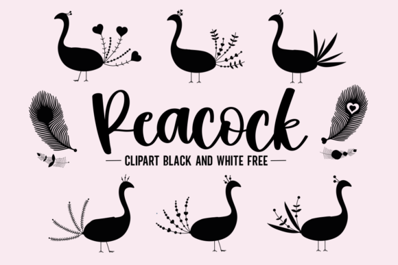 Download Peacock Clipart Black and White Free - Art Collection