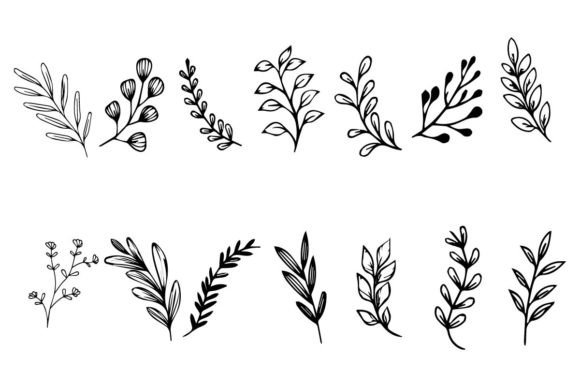 Download Botanical Leaf Wildflower Line Art - Art Collection