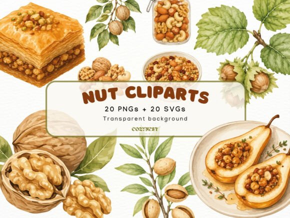 Download Nut Watercolor Cliparts, Botanical PNG - Art Collection