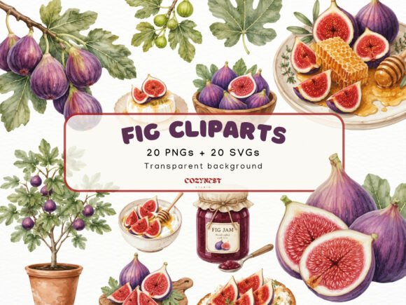 Download Fig Watercolor Cliparts, Botanical PNG - Art Collection